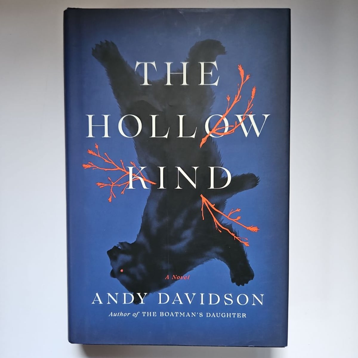 The Hollow Kind by Andy Davidson
