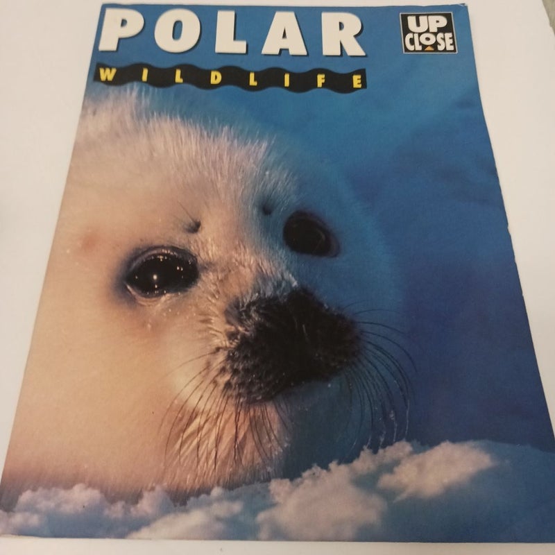 Polar Wildlife