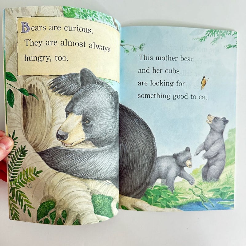 Bears are Curious, Reader