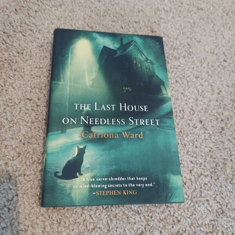 The Last House on Needless Street