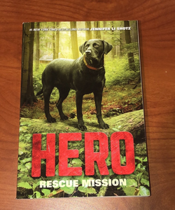 Hero: Rescue Mission