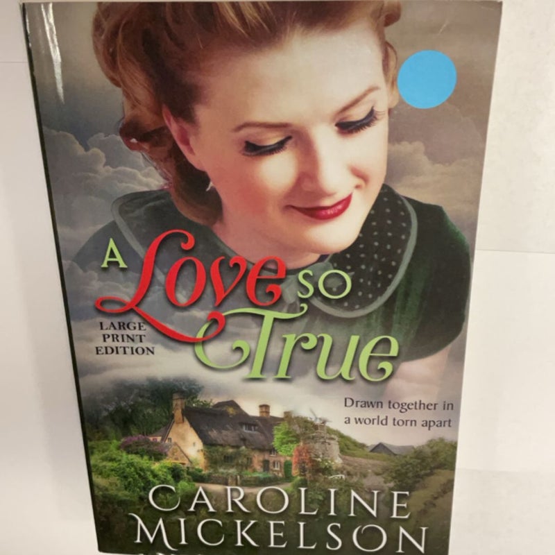 A Love So True (LARGE PRINT EDITION)