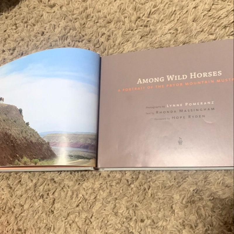 Among Wild Horses 