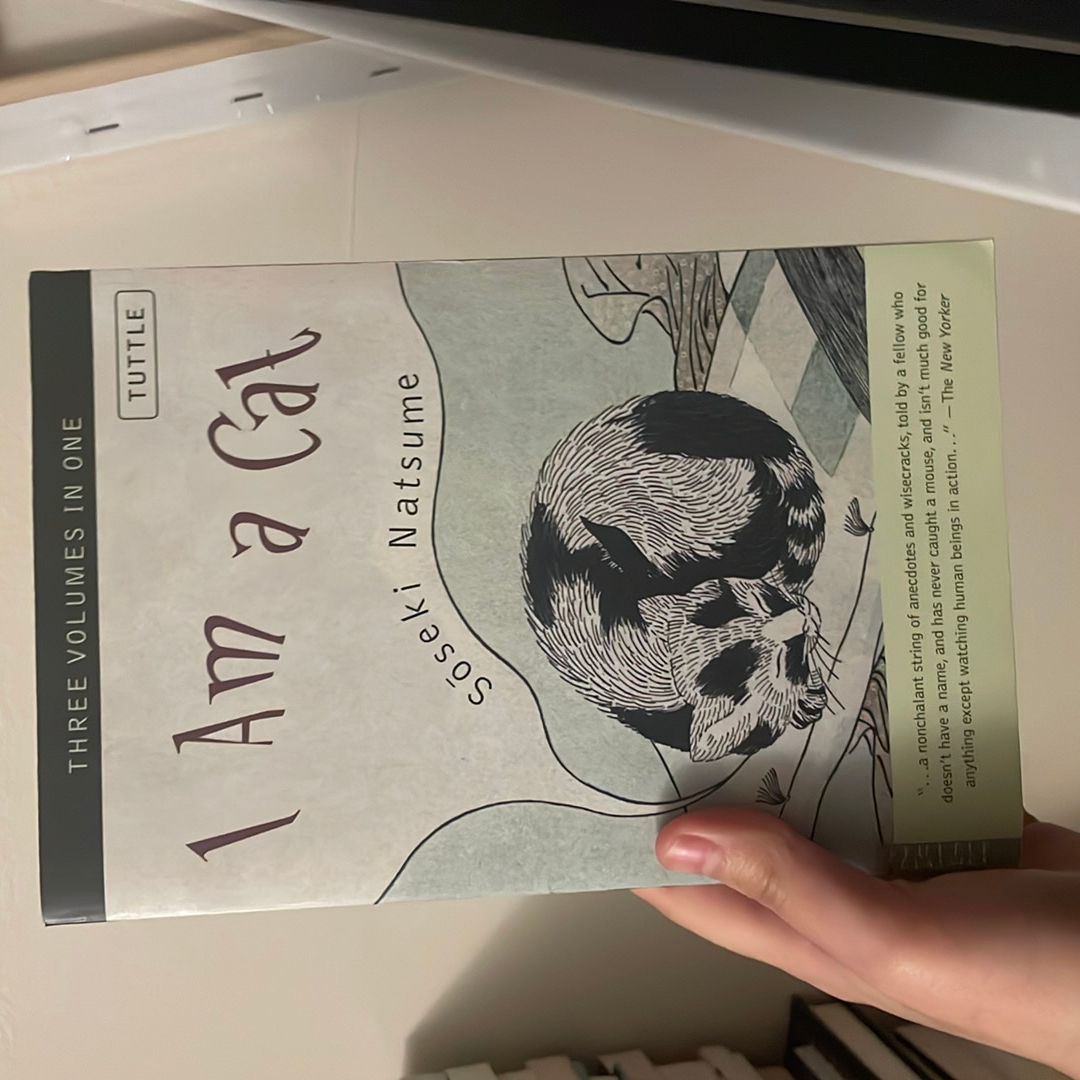 Sale image for 42358ebf-3dd0-4b6f-9f74-36633d9fc5bb-4lm0ccDo5Rhb6bHPYgG4z5YUuyr2