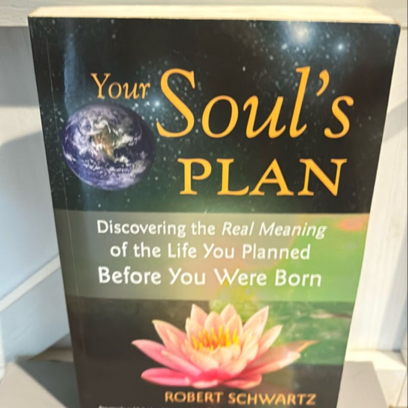 Your Soul's Plan