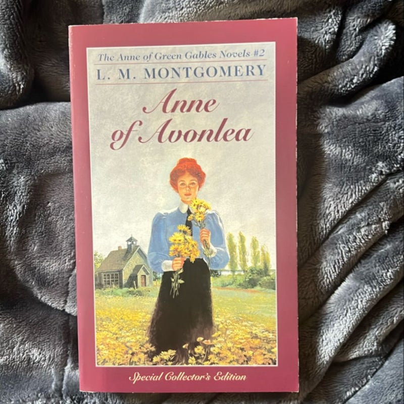 Anne of Avonlea