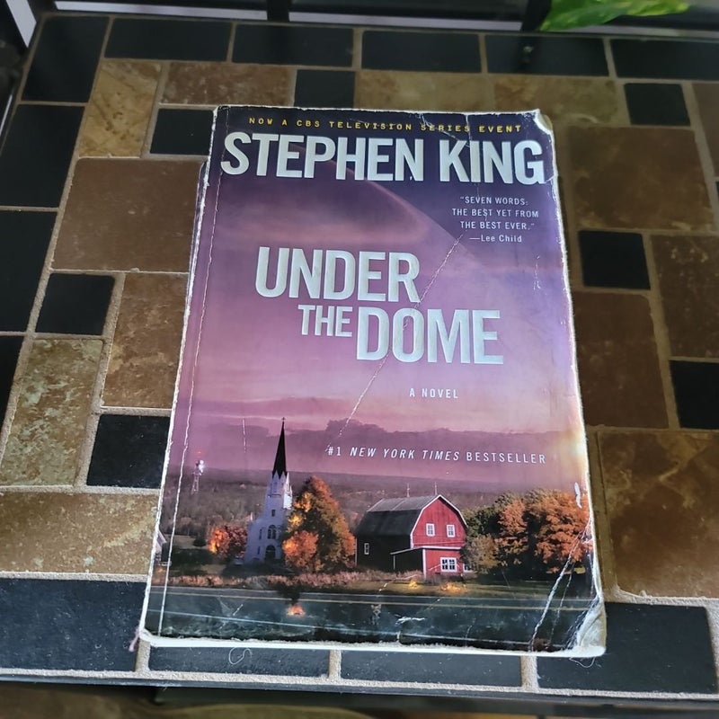 Under the Dome