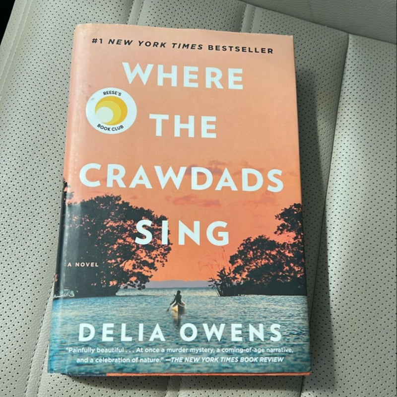 Where the Crawdads Sing