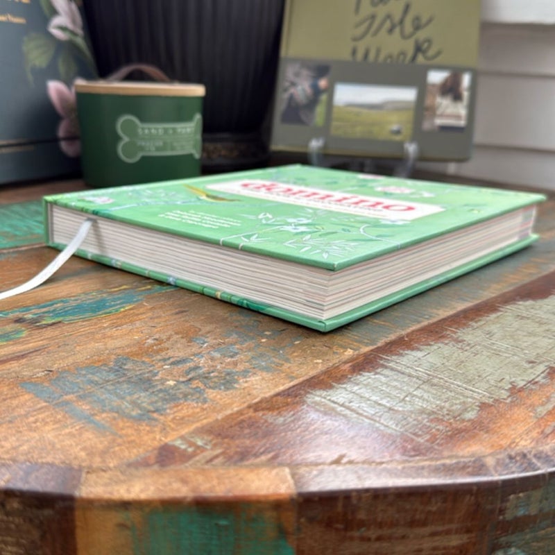 Domino: the Book of Decorating