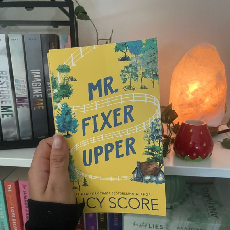 Mr. Fixer Upper