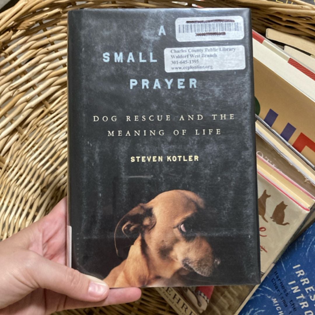 A Small Furry Prayer