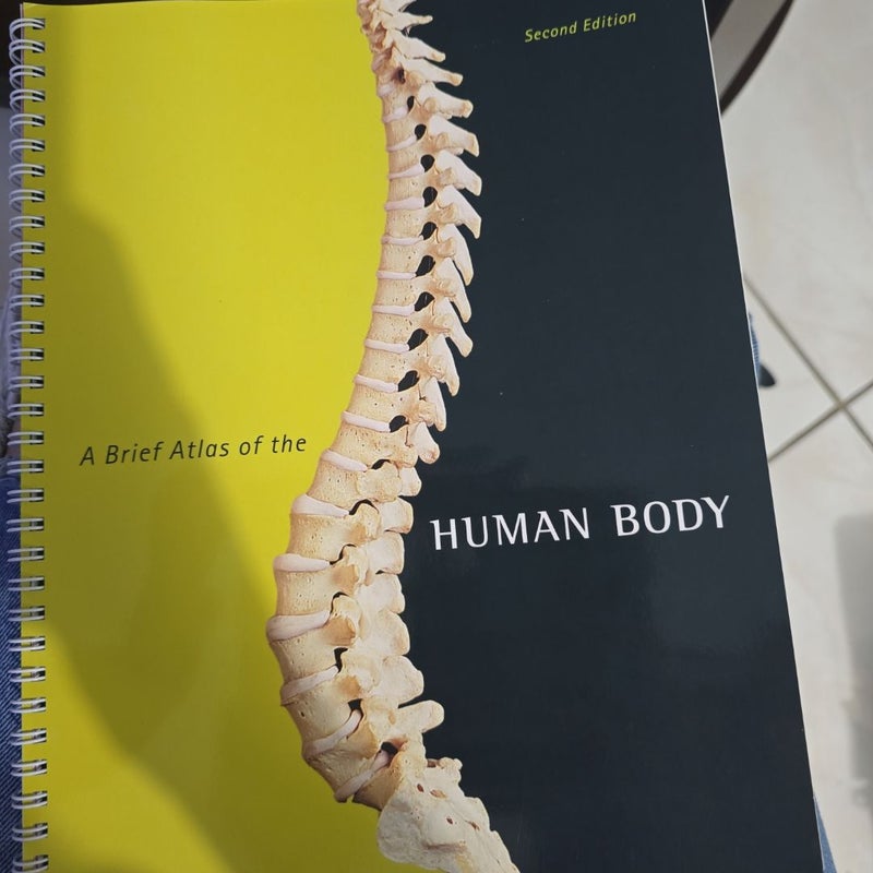 A Brief Atlas of the Human Body