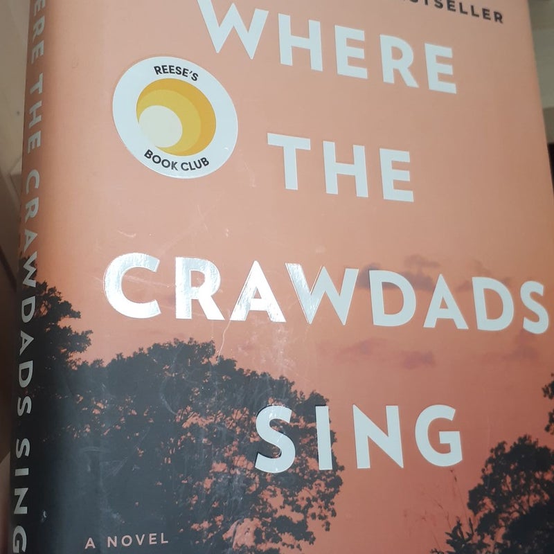 Where the Crawdads Sing