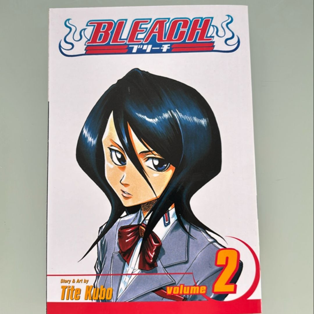 Bleach, Vol. 2