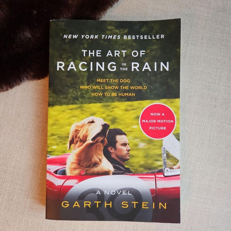 The Art of Racing in the Rain Tie-In