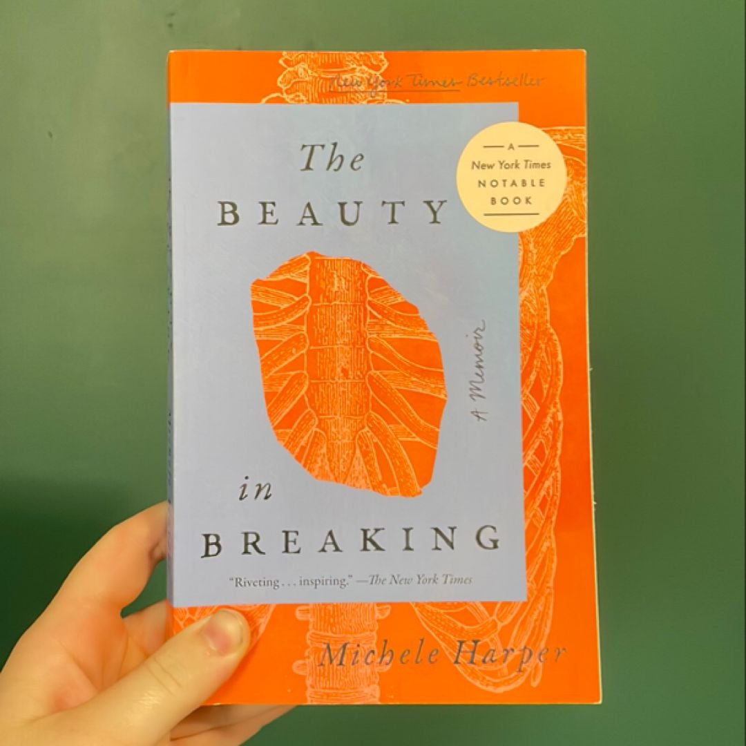 The Beauty in Breaking