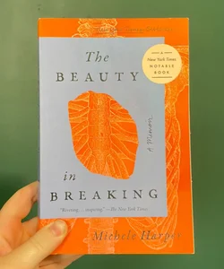 The Beauty in Breaking