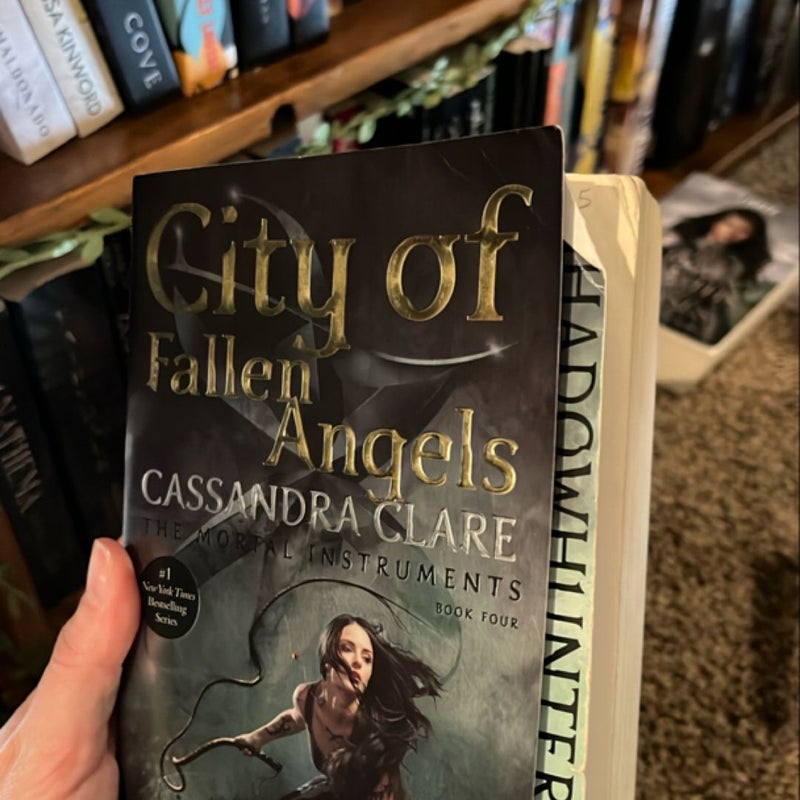 City of Fallen Angels
