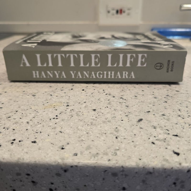 A Little Life