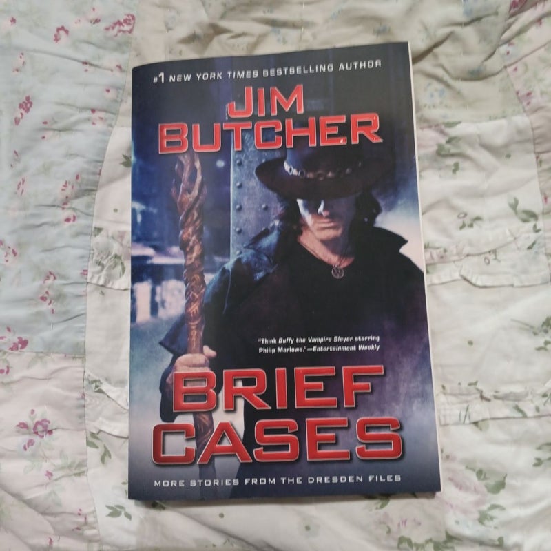 Brief Cases