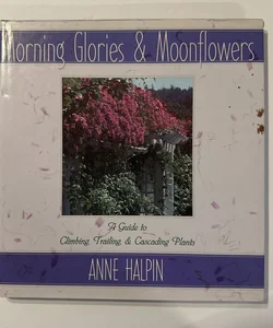 Morning Glories and Moonflowers