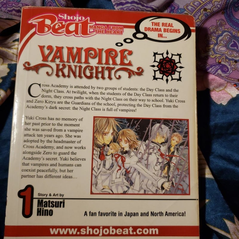 Vampire Knight, Vol. 1