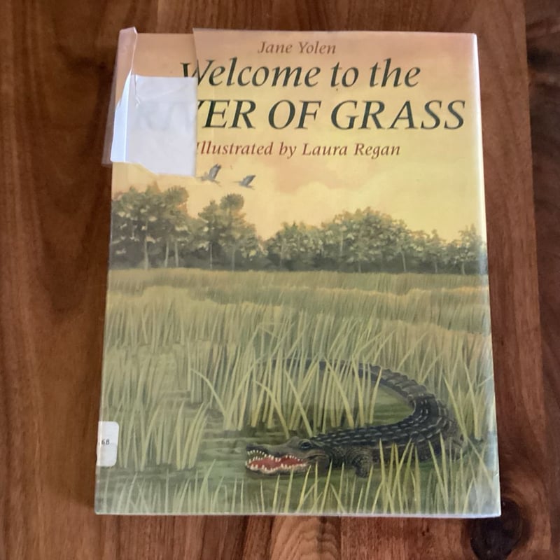 Welcome to the River of Grass