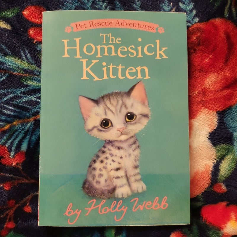 The Homesick Kitten