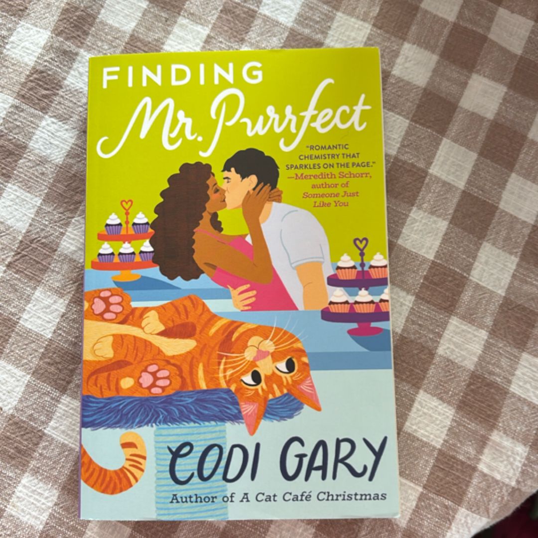 Finding Mr. Purrfect