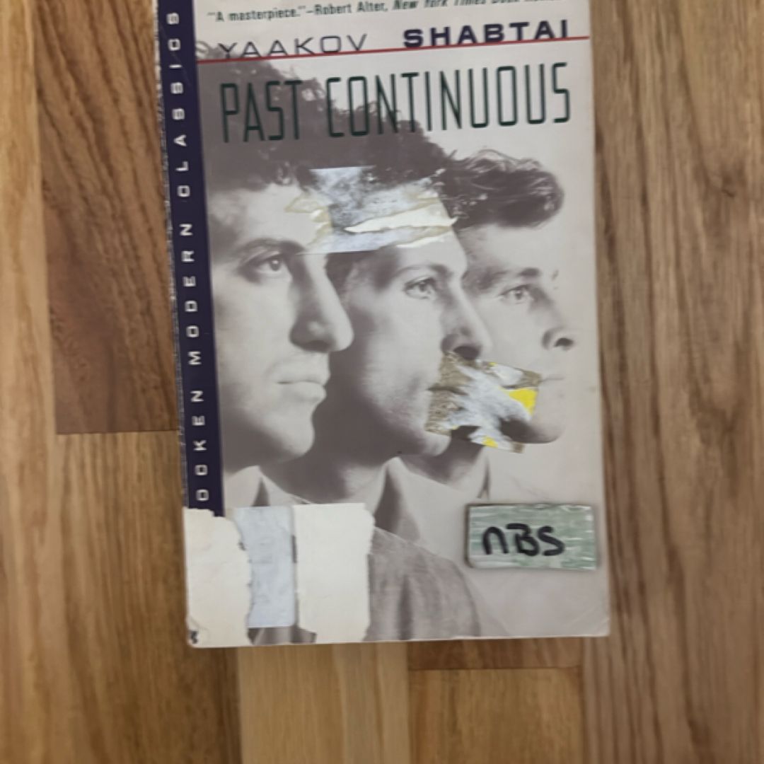 Past Continuous