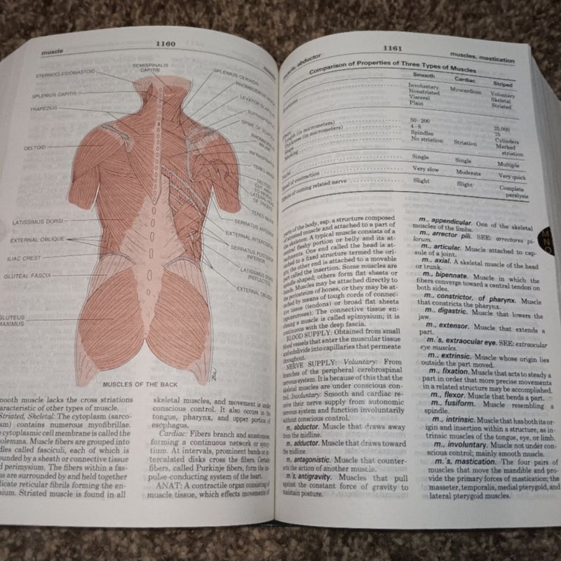 Taber's Cyclopedic Medical Dictionary