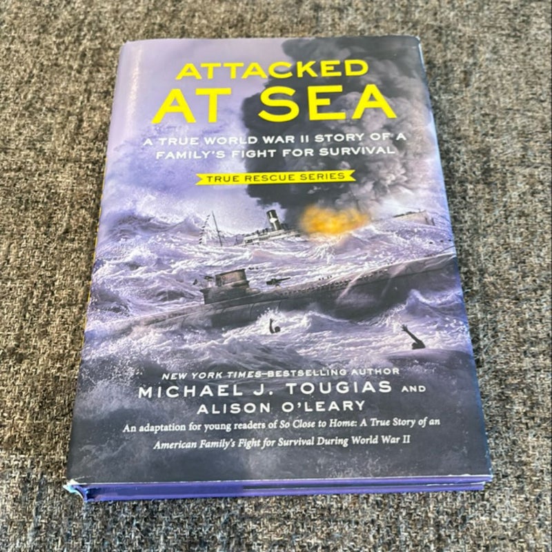 Attacked At Sea