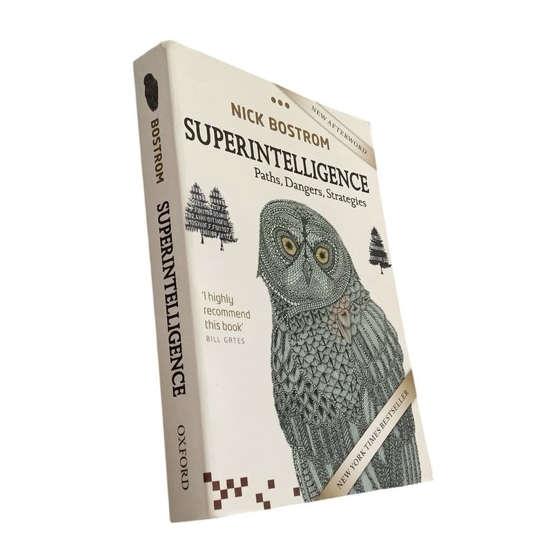 Superintelligence