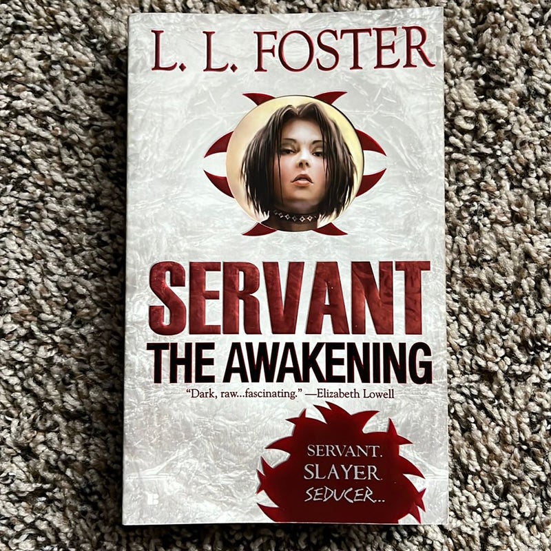 Servant: the Awakening