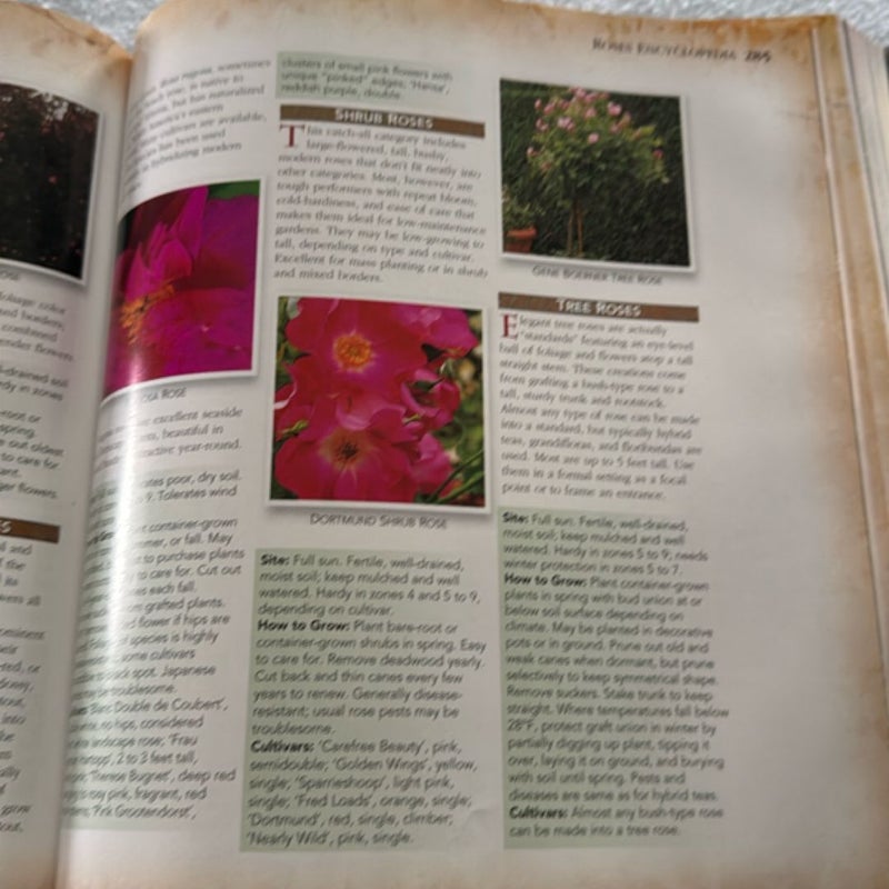 New Complete Guide to Gardening