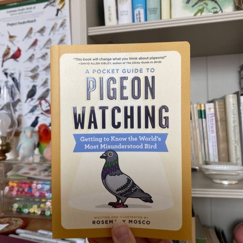 A Pocket Guide to Pigeon Watching