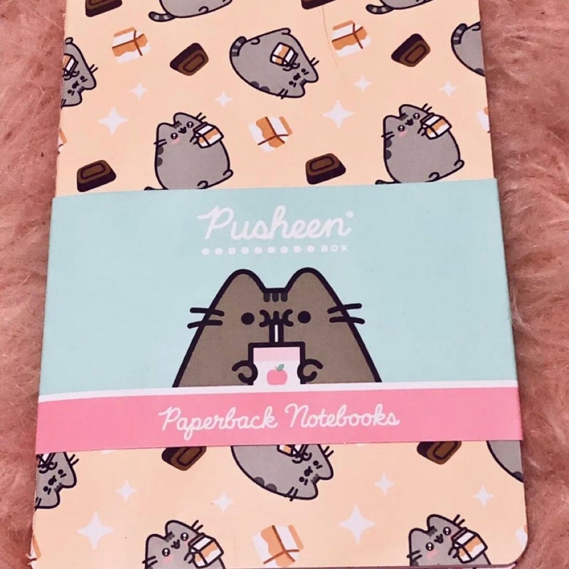 Two Pusheen kawaii notebooks s’mores & strawberry milk journals pack