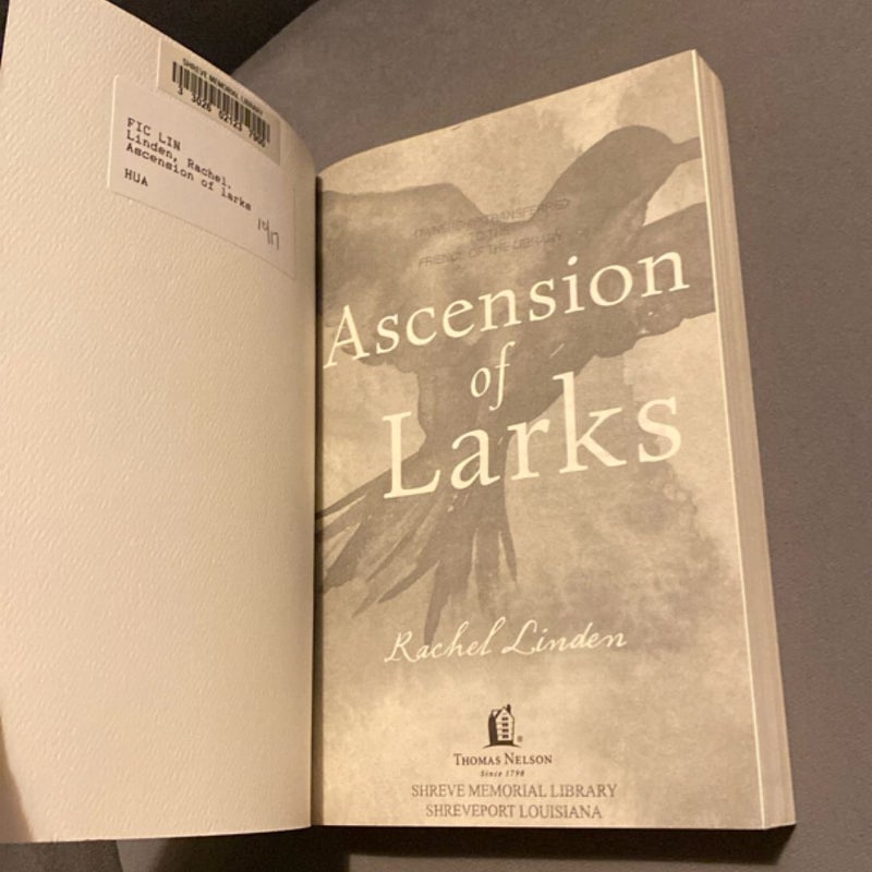 Ascension of Larks