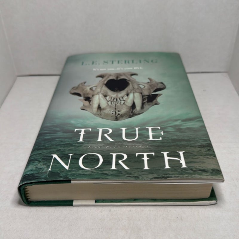 True North