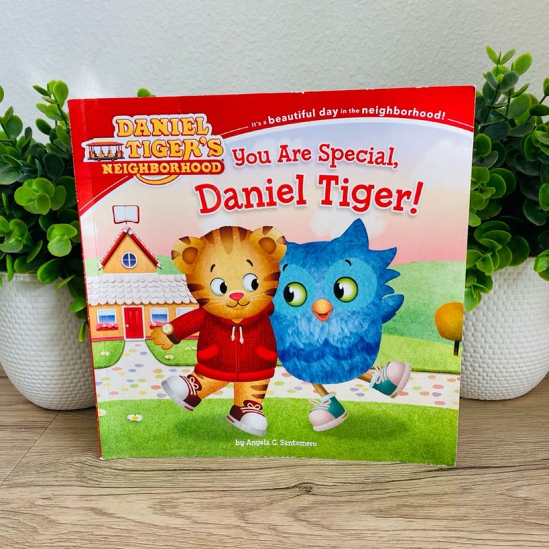 Daniel Tiger You are Special, Daniel Tiger 