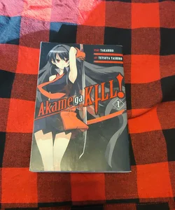 Akame Ga KILL! ZERO, Vol. 1 by Takahiro, Paperback