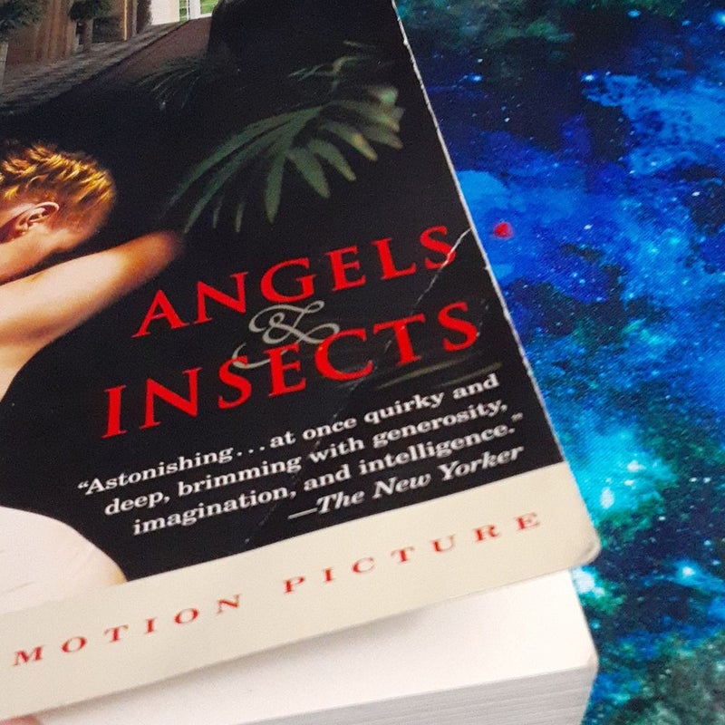 Angels and Insects