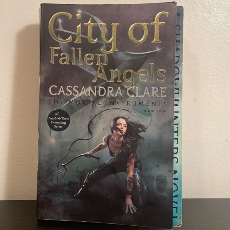 City of Fallen Angels