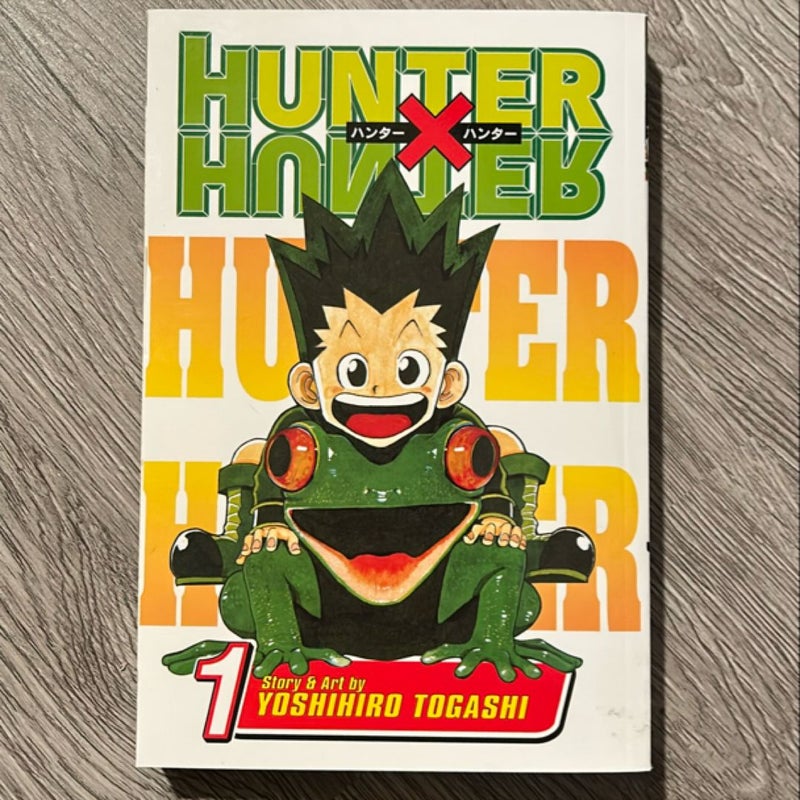 Hunter X Hunter, Vol. 1