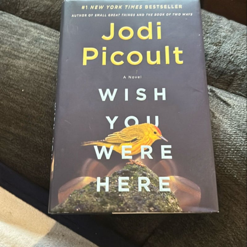 Wish You Were Here