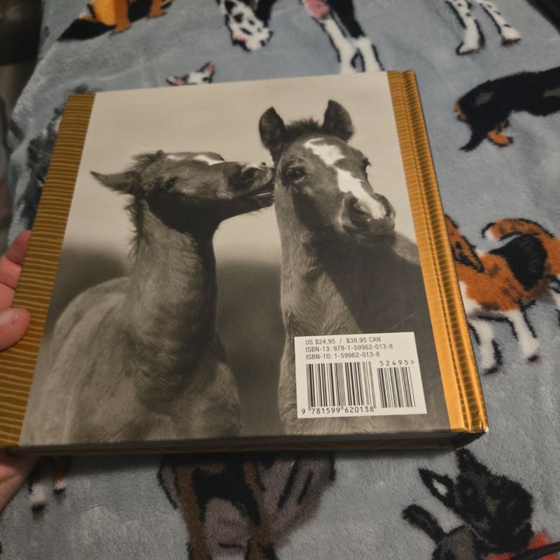 The Big Book of Horses