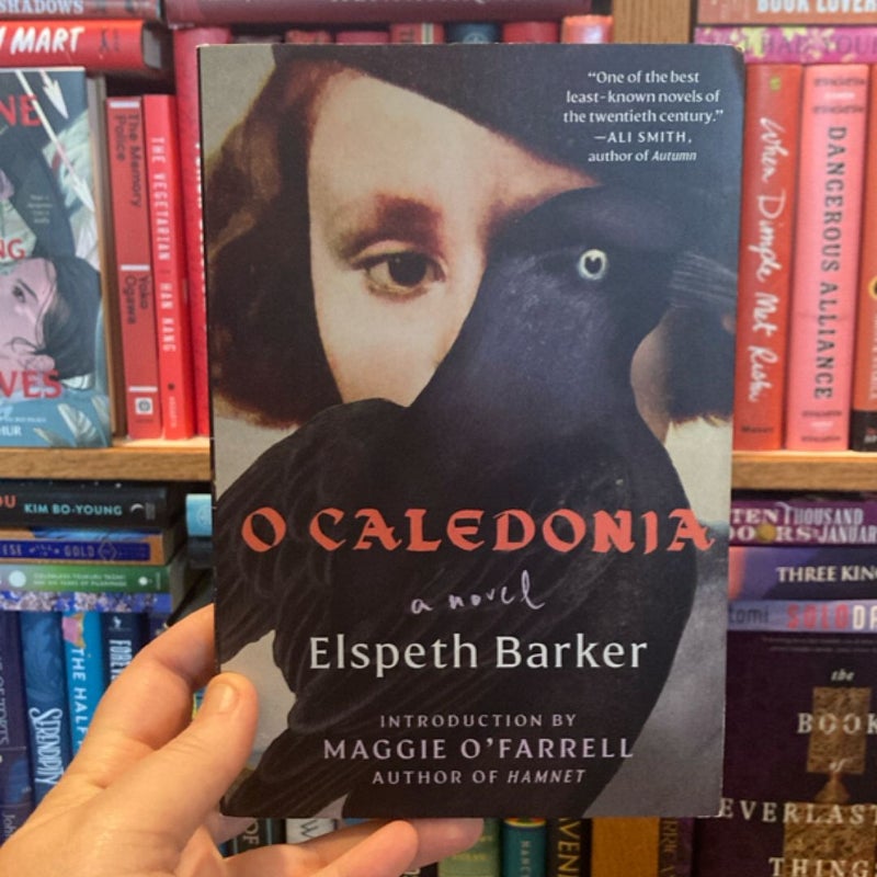 O Caledonia