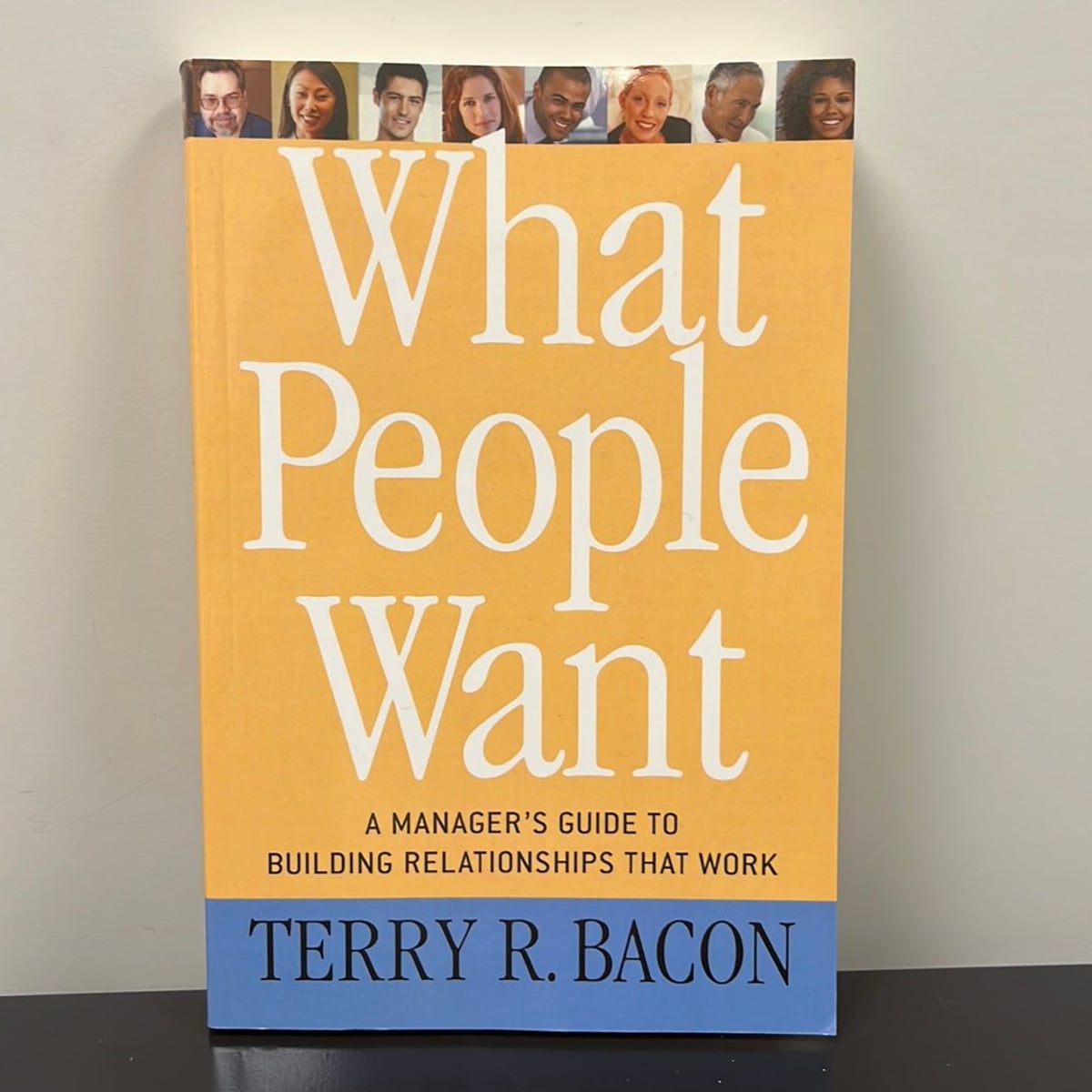 What People Want by Terry Bacon
