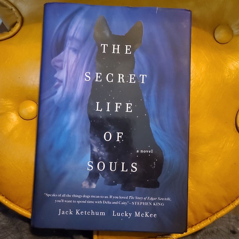 The Secret Life of Souls