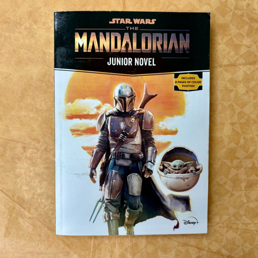 Star Wars: the Mandalorian Junior Novel